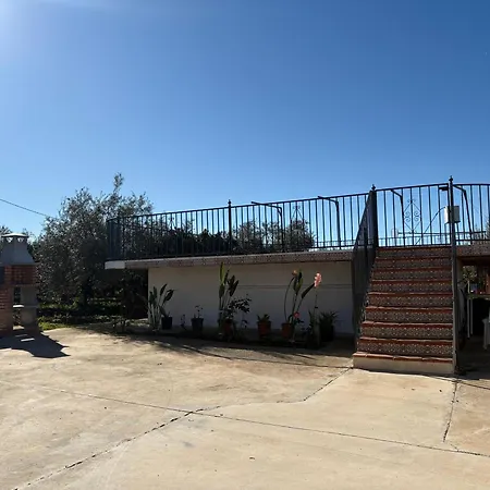Girasoles Córdoba