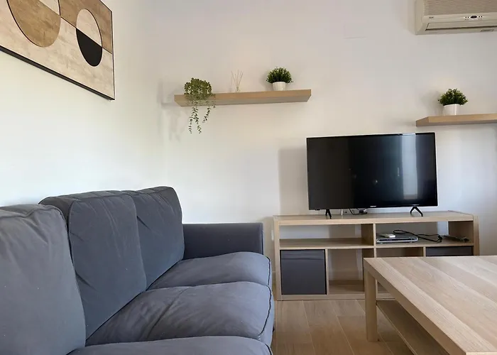 Girasoles * Córdoba