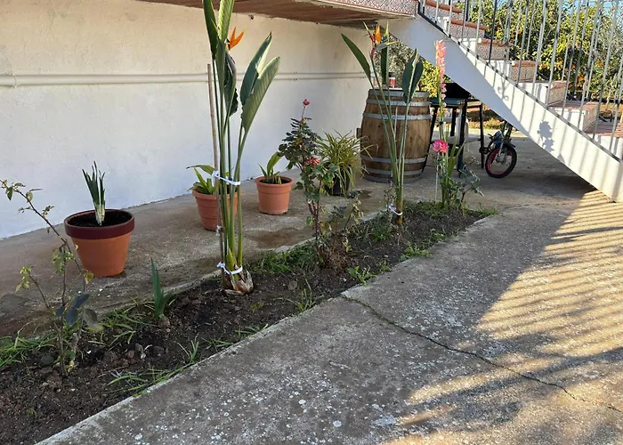 Girasoles Сasa de vacaciones *