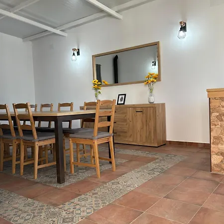 Girasoles * Córdoba