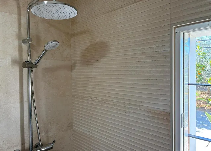 Girasoles * 科爾多瓦