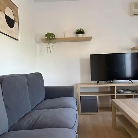 Girasoles * Córdoba